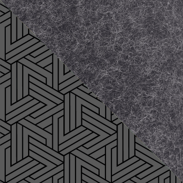 Cover til Tolino Vision 6 | med magnetlukning og ekstra rum | antracit - Tracks | Model "HAKA"